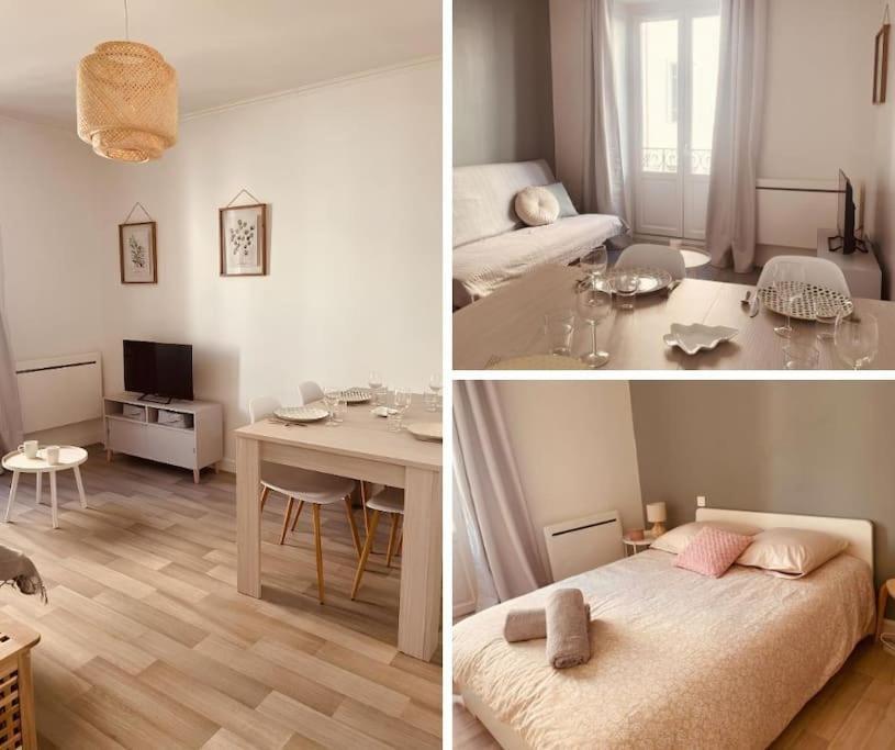 Le Coin Cosy L Balcon Leilighet Castres  Eksteriør bilde